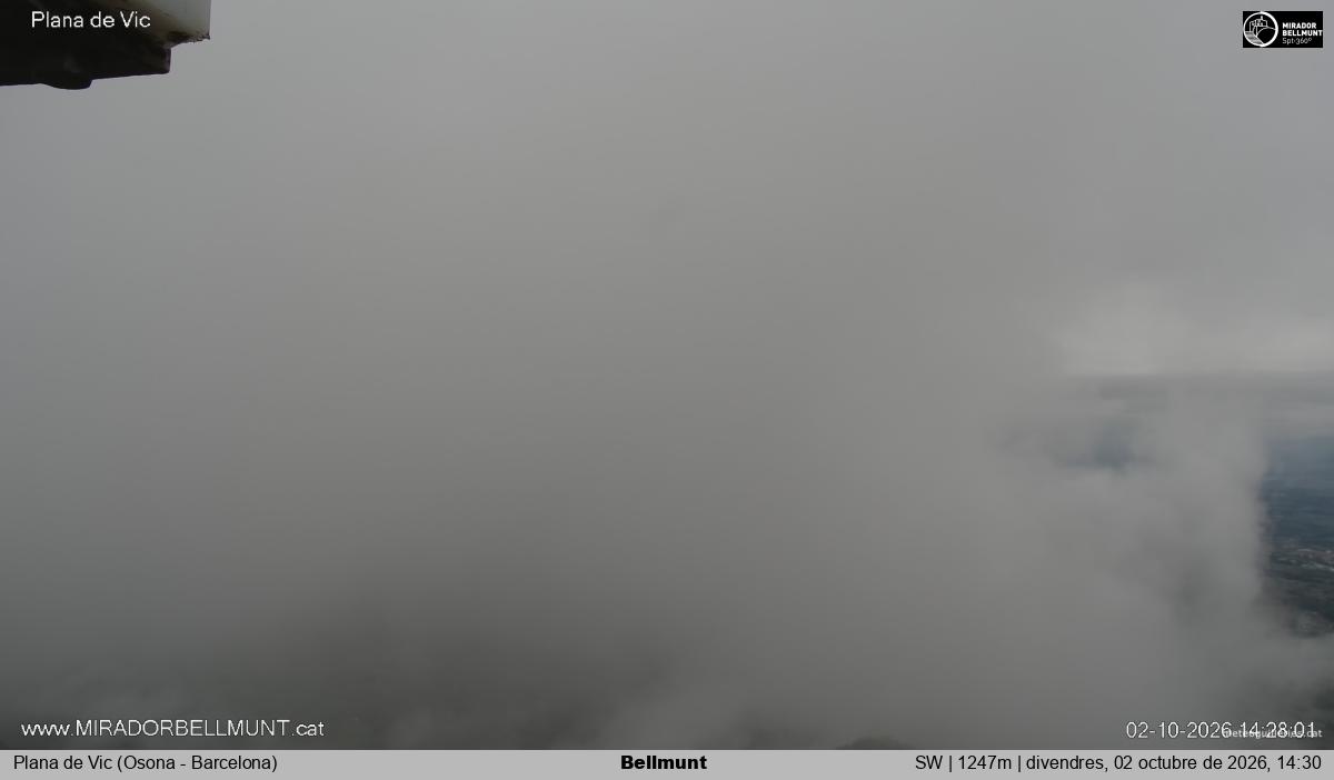 Bellmunt