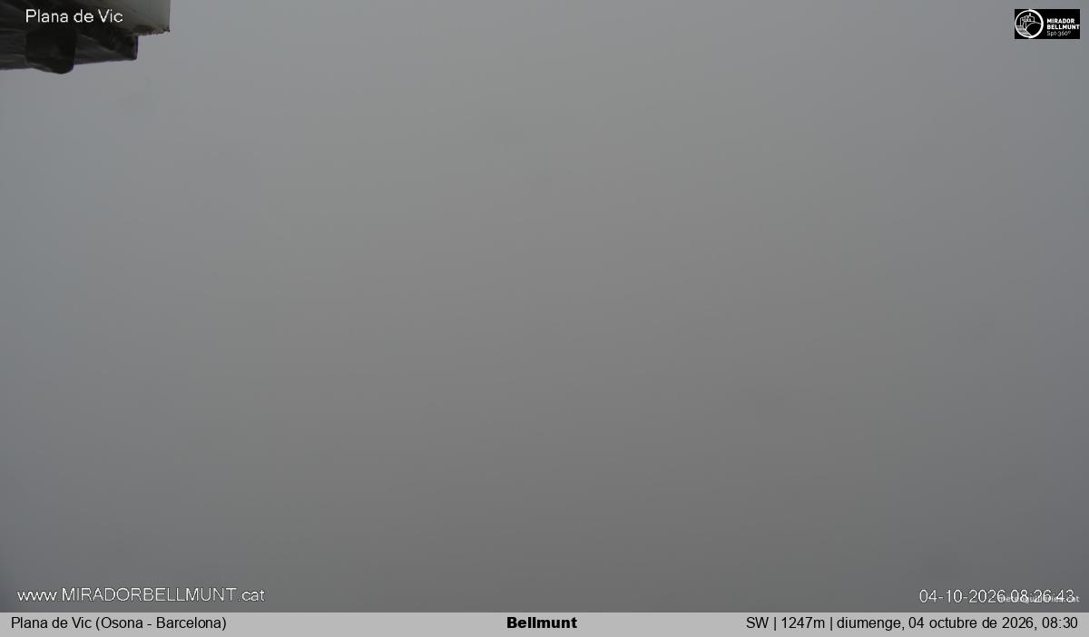 Bellmunt
