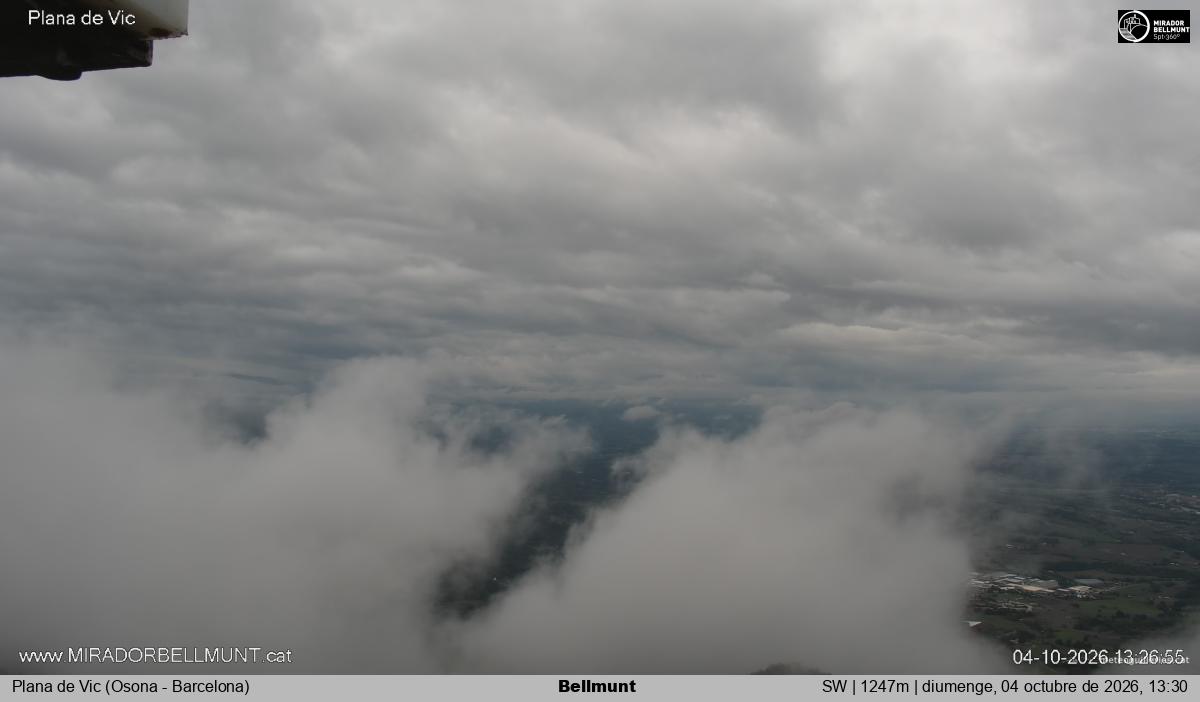 Bellmunt