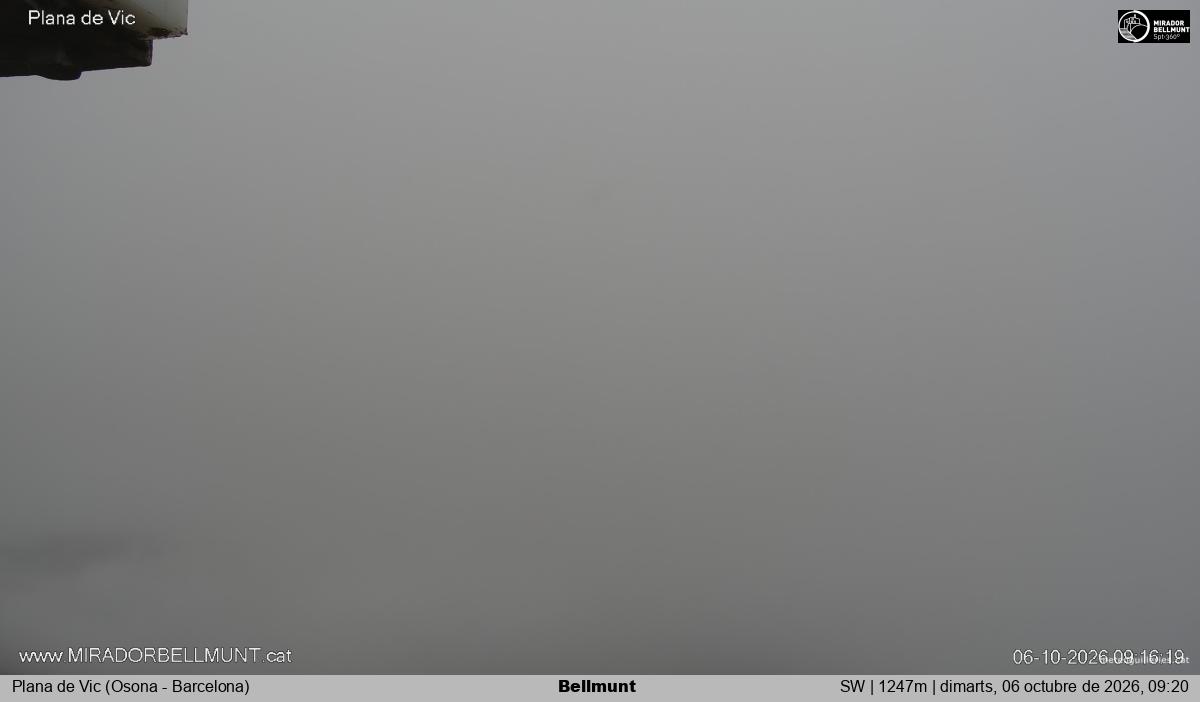 Bellmunt