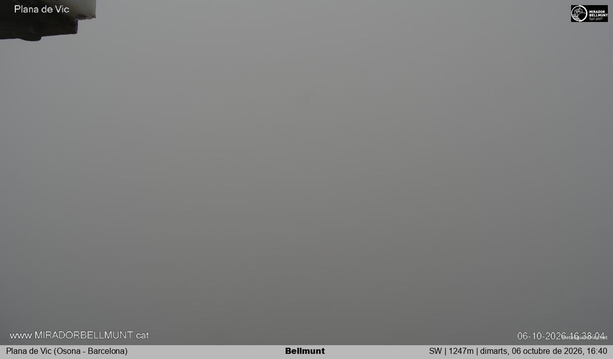 Bellmunt