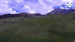 Webcams