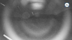 Webcams