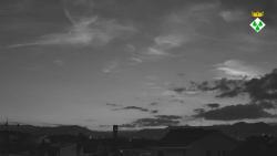 Webcams