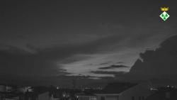 Webcams