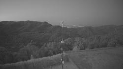 Webcams
