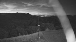Webcams