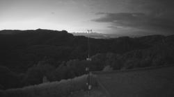 Webcams