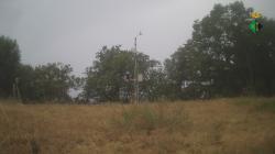 Webcams