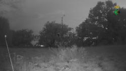 Webcams