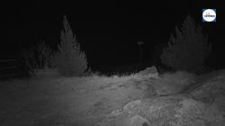Webcams