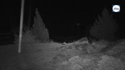 Webcams