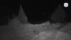 Webcams