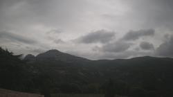 Webcams
