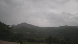 Webcams