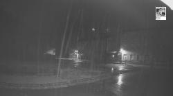 Webcams