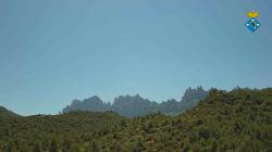 Webcams