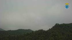 Webcams