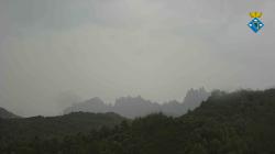 Webcams