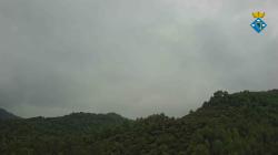 Webcams