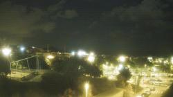 Webcams