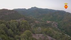 Webcams