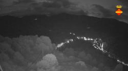 Webcams