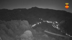 Webcams
