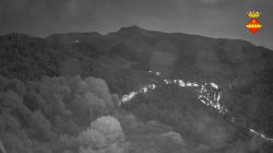 Webcams