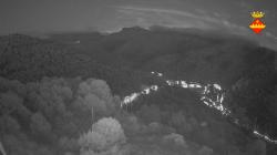 Webcams