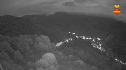 Webcams
