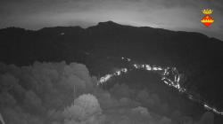 Webcams