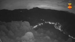 Webcams