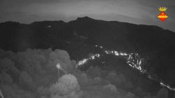 Webcams