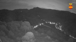 Webcams