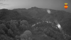 Webcams