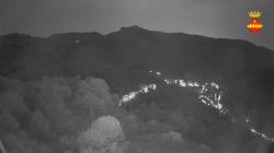 Webcams