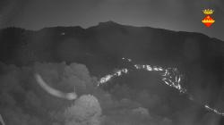 Webcams