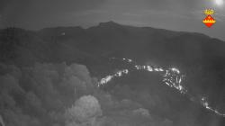 Webcams