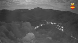 Webcams