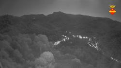 Webcams