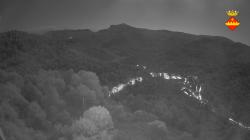 Webcams