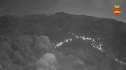 Webcams