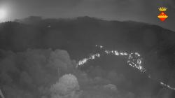Webcams