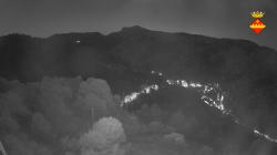 Webcams