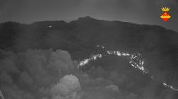 Webcams