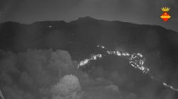 Webcams