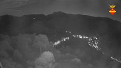 Webcams