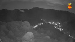 Webcams