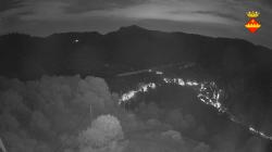 Webcams